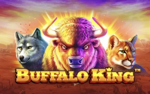 Buffalo King