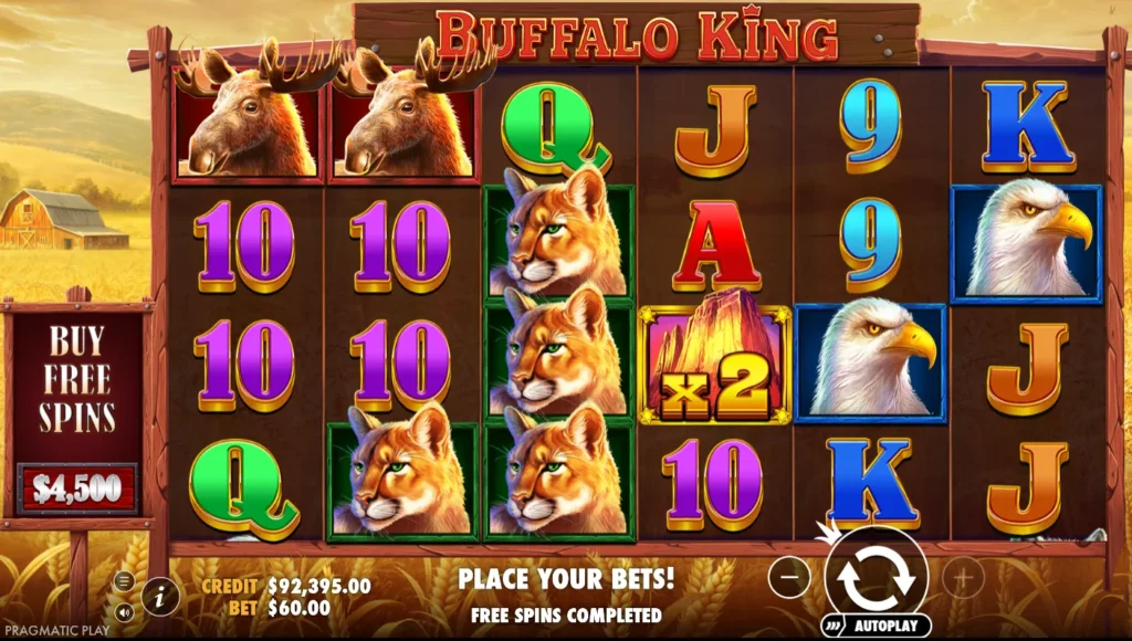 Buffalo King: a teszt vége 92 395 kreditnél, üresen zárt bónusz után